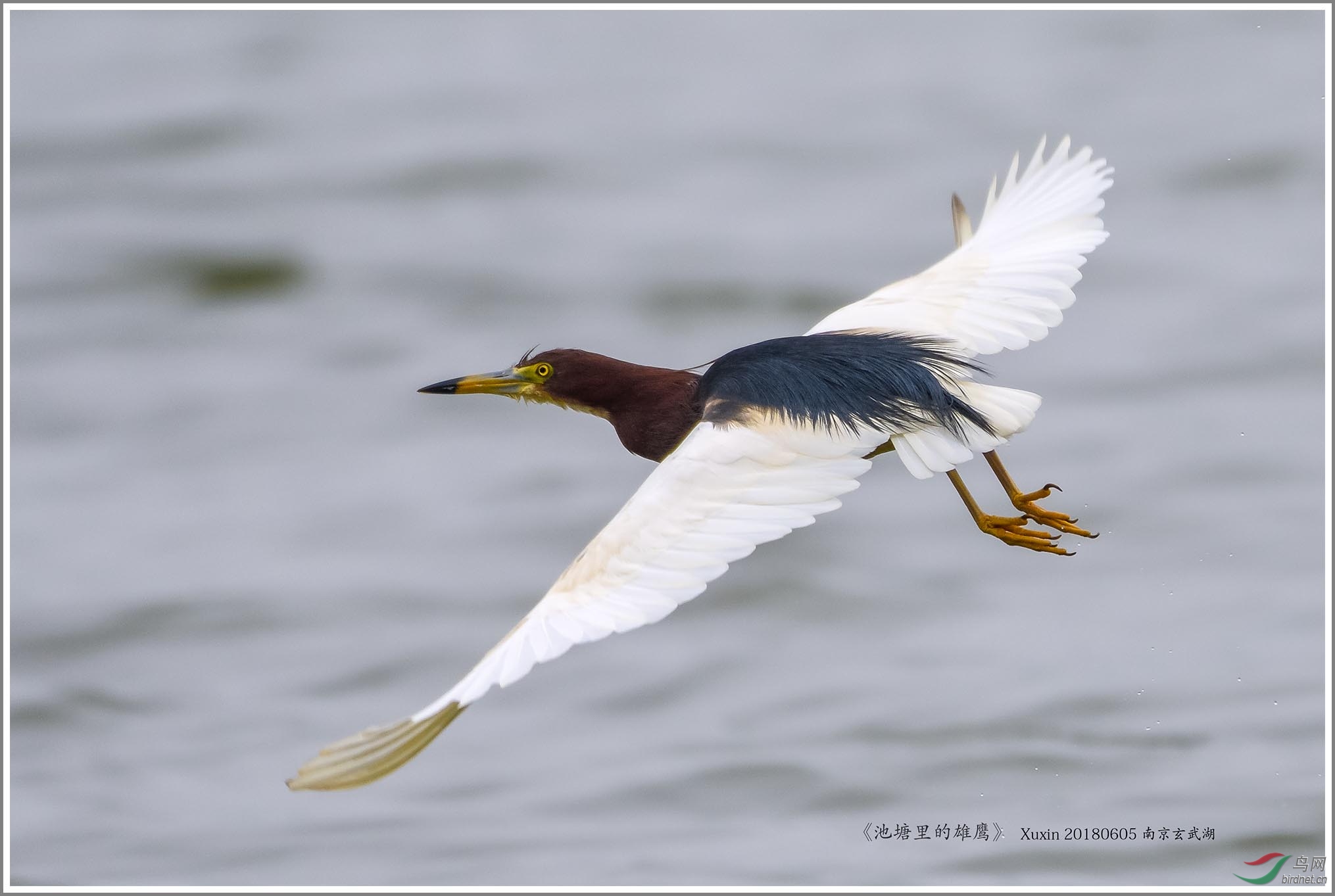 ��_XUX5081��Ϊ���ܶ���-1 2000.jpg