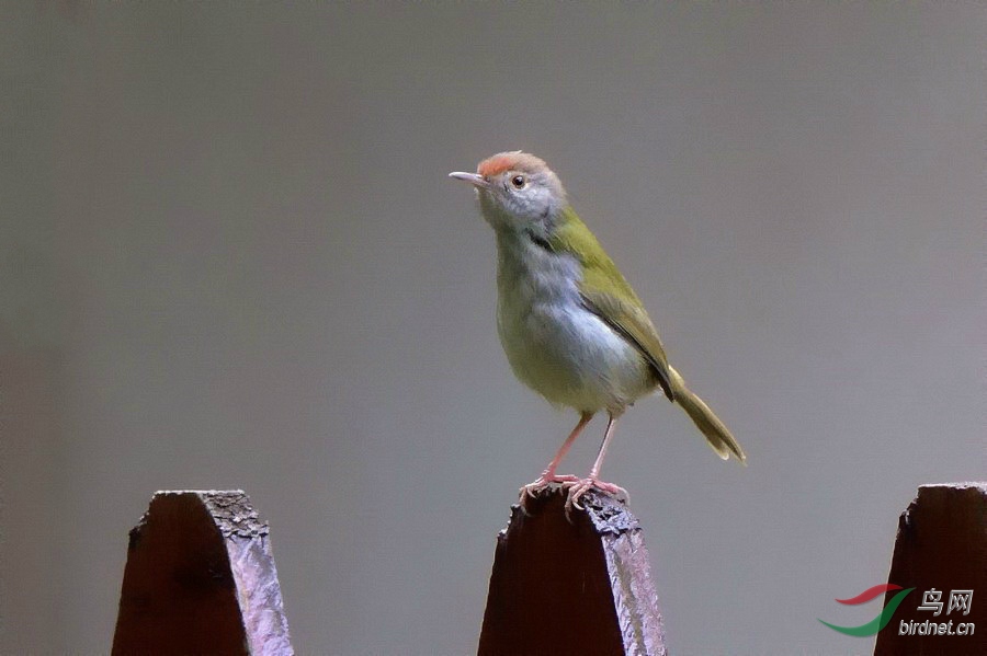 DSC_3716.jpg
