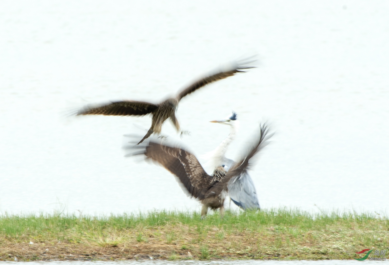 DSC_5664.jpg