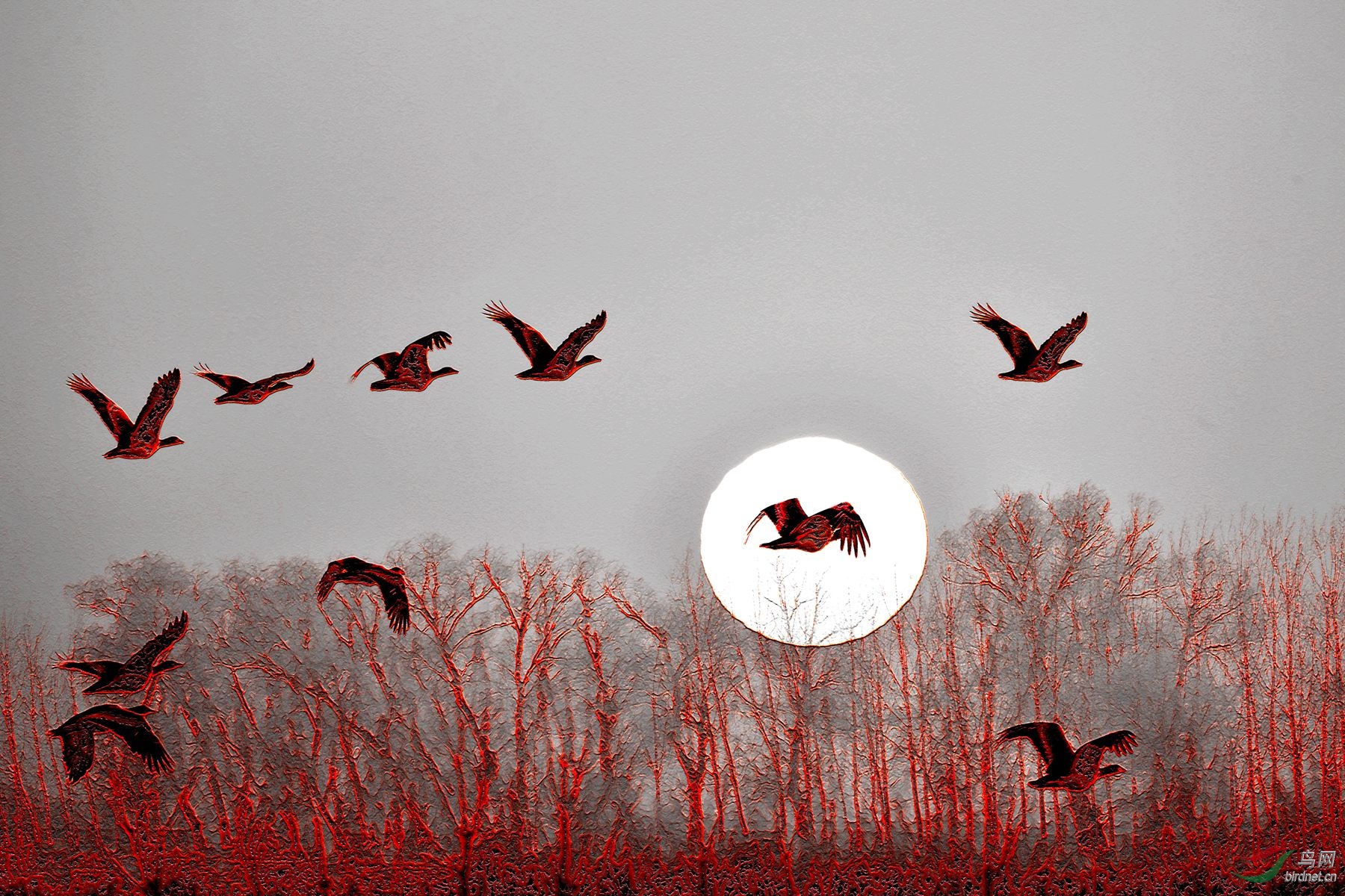 LYK_2721 ���� 3_����.jpg