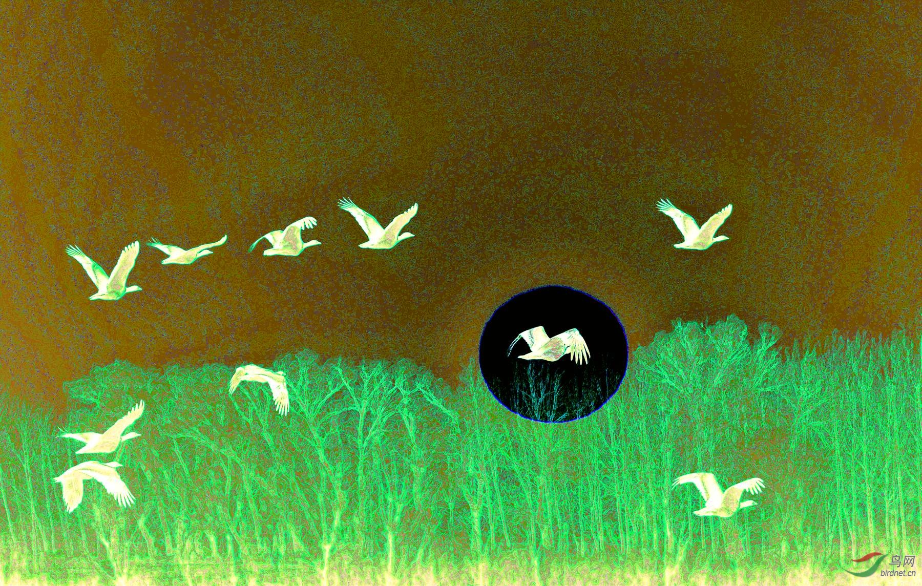 LYK_2721 ����_����.jpg