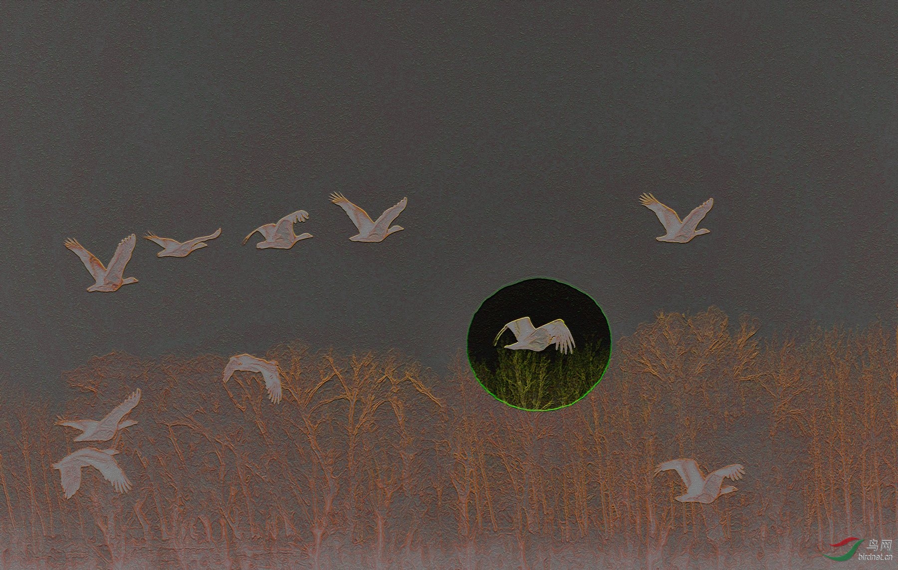 LYK_2721 ���� 2_����.jpg