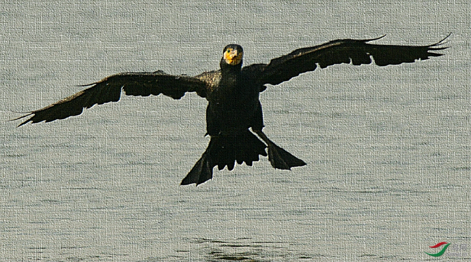 DSC_6176.jpg