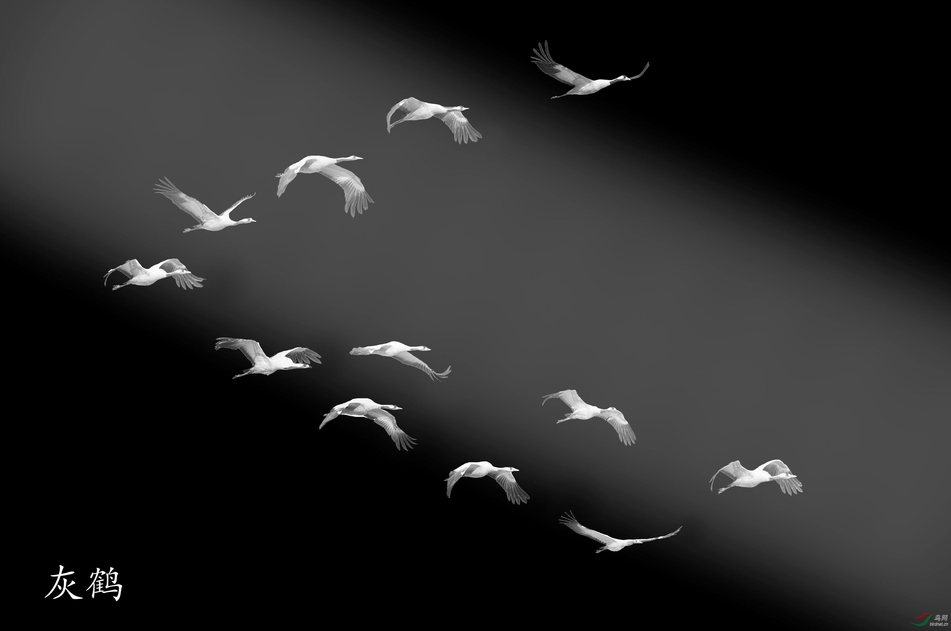 ������С DSC06692�������_��Ļ.jpg