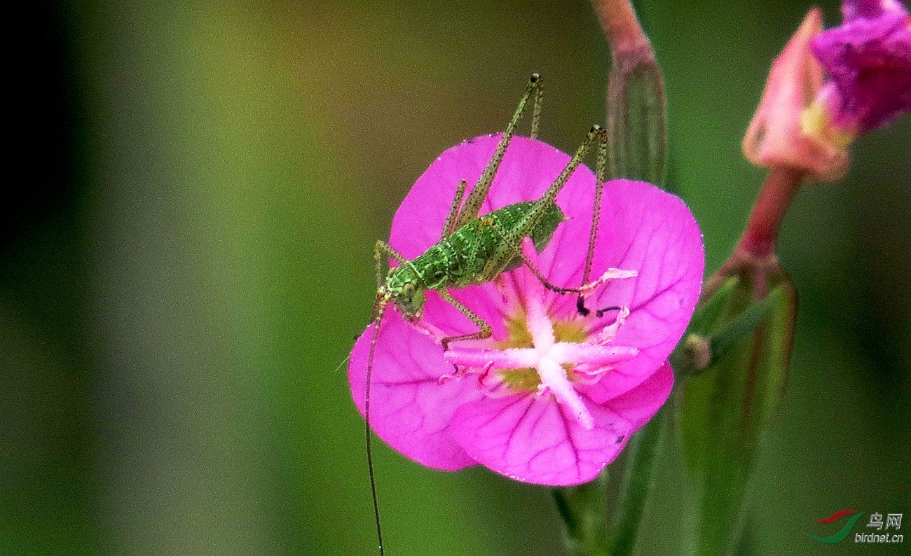 ��Ƭ 710_����.jpg