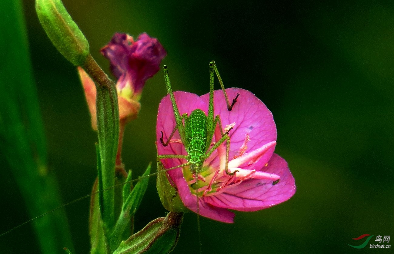 ��Ƭ 712_����.jpg