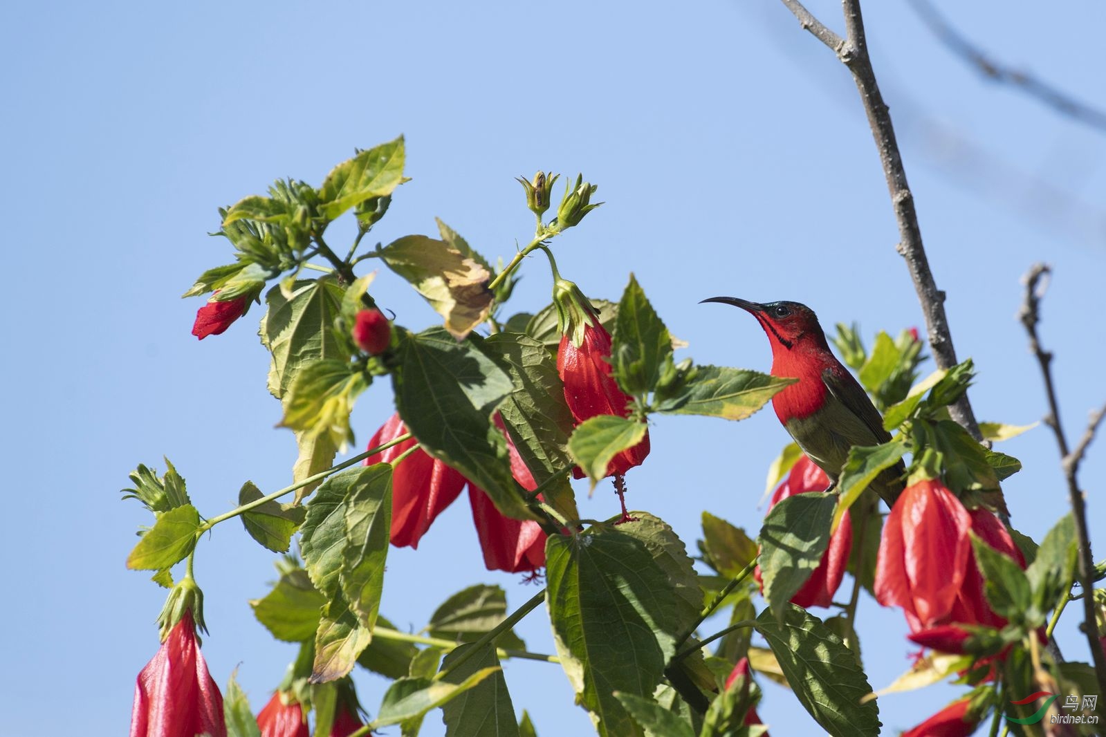 ����̫���� (1).jpg