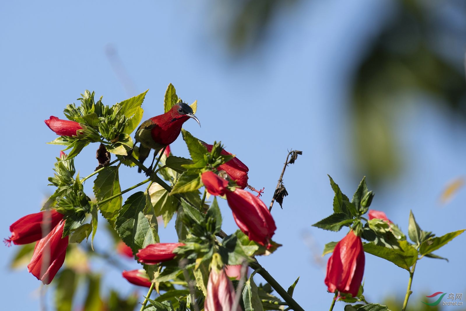 ����̫���� (3).jpg