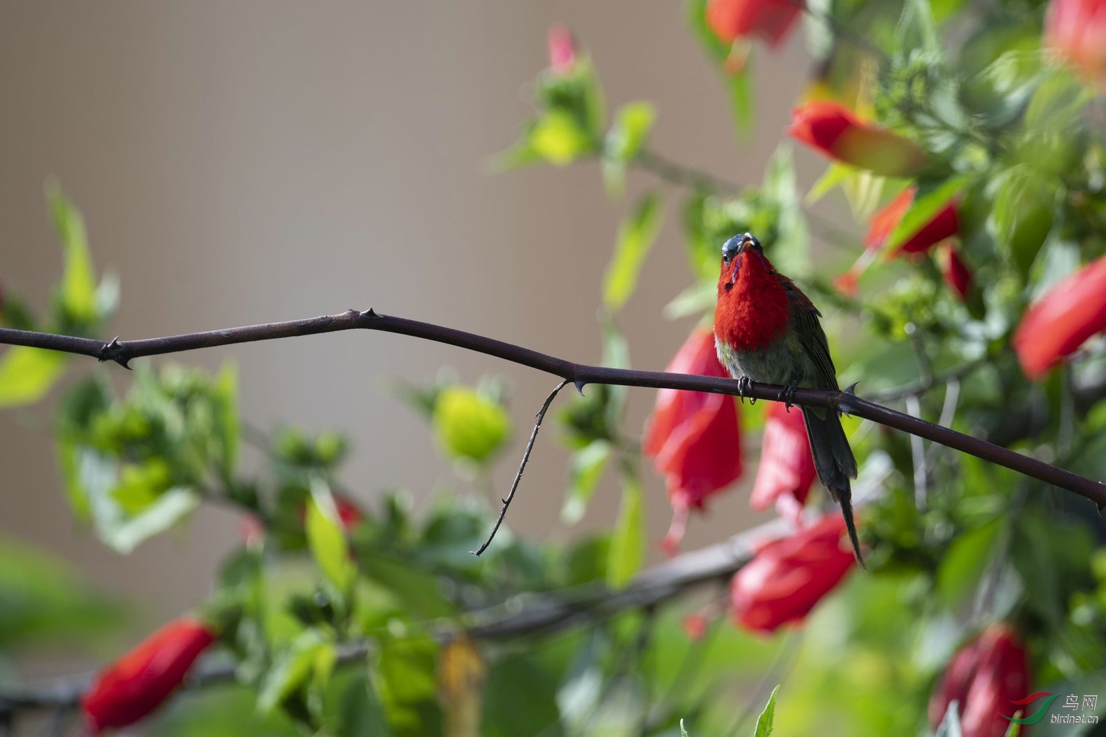 ����̫���� (14).jpg