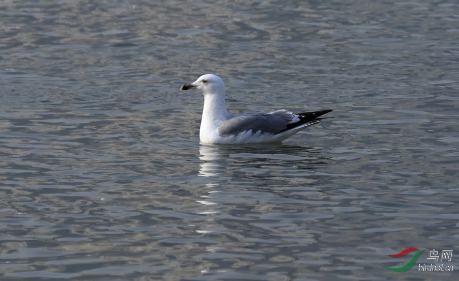 DQ1A5496_����.jpg