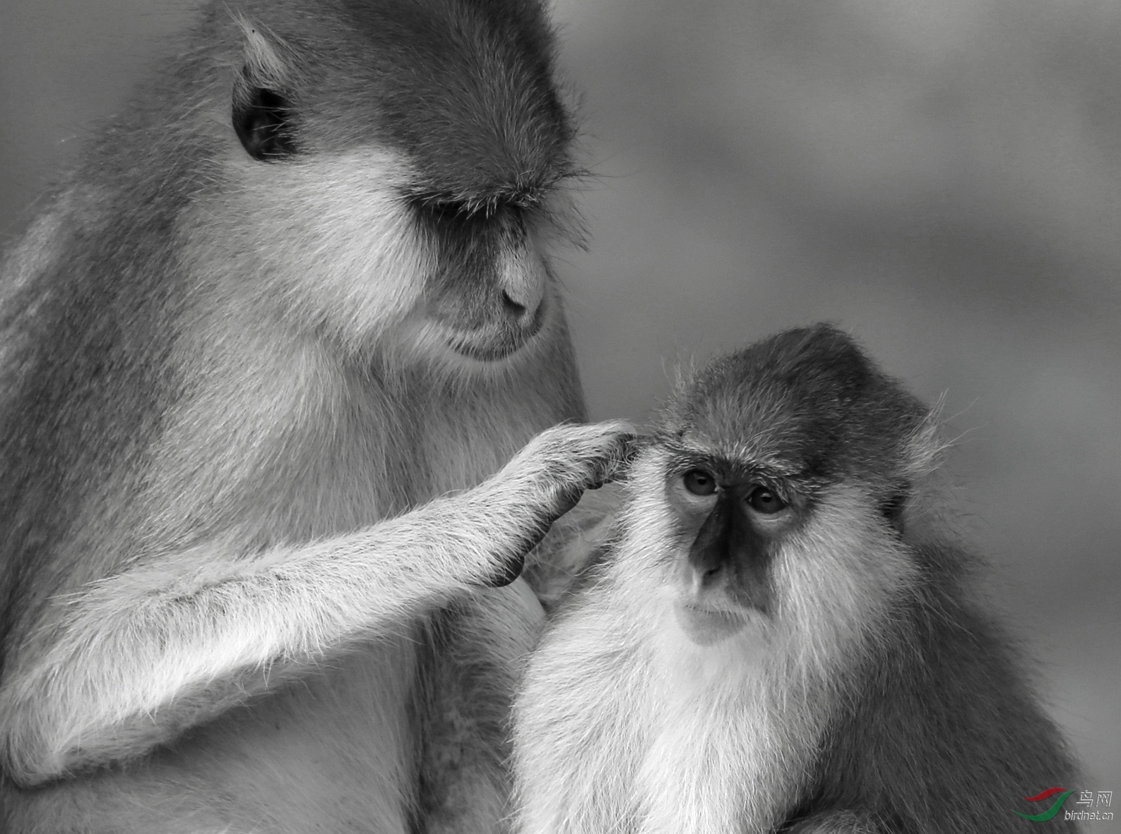 7M7A0427 ����2.jpg