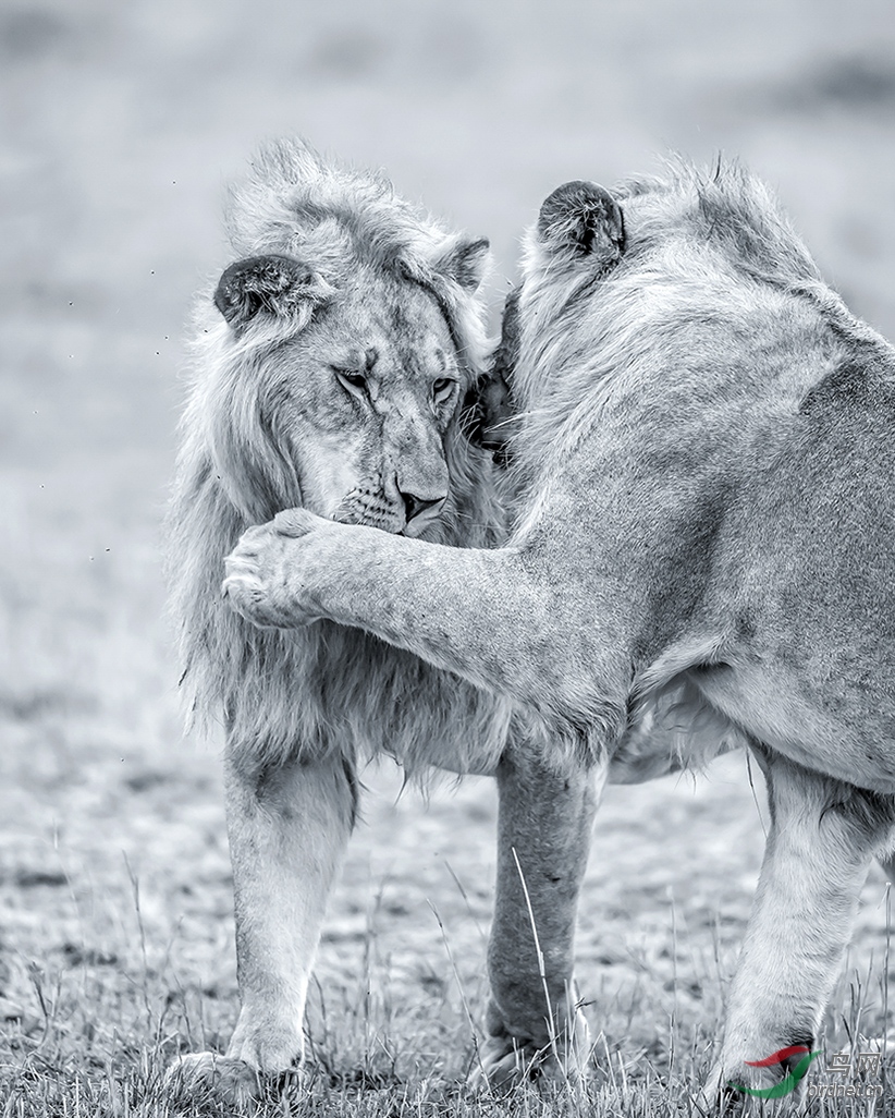 �����ڿ���������������