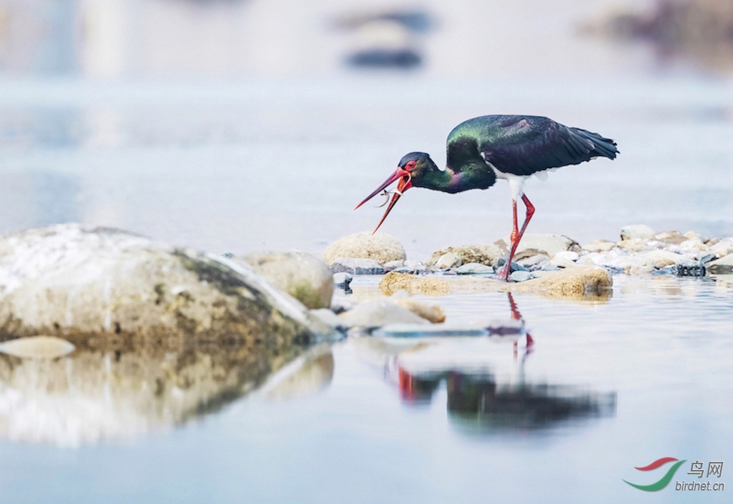 �����ѵ�