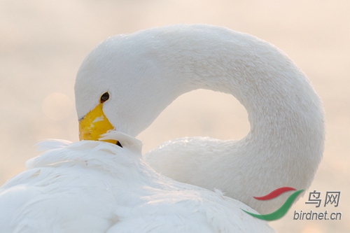 �����ľ���