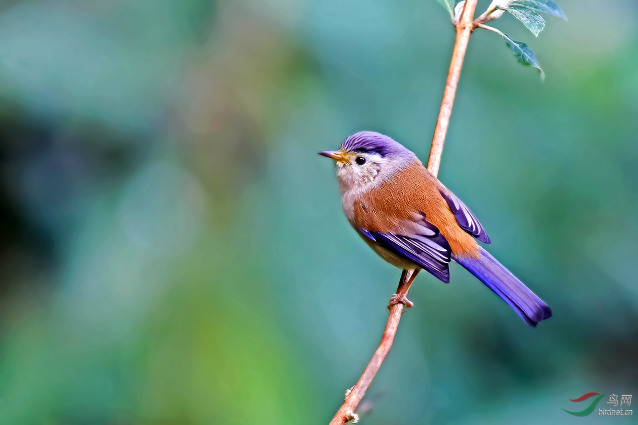 2016_12_21_27 (9)_����.jpg