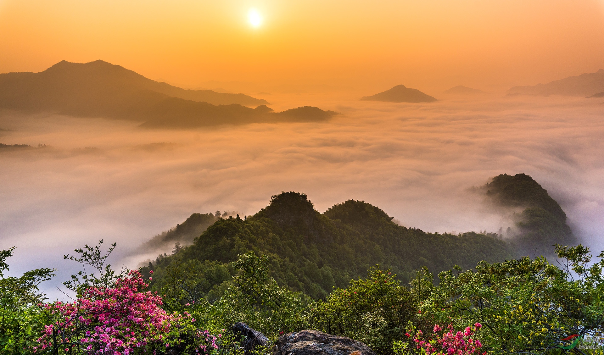 大别山的春天