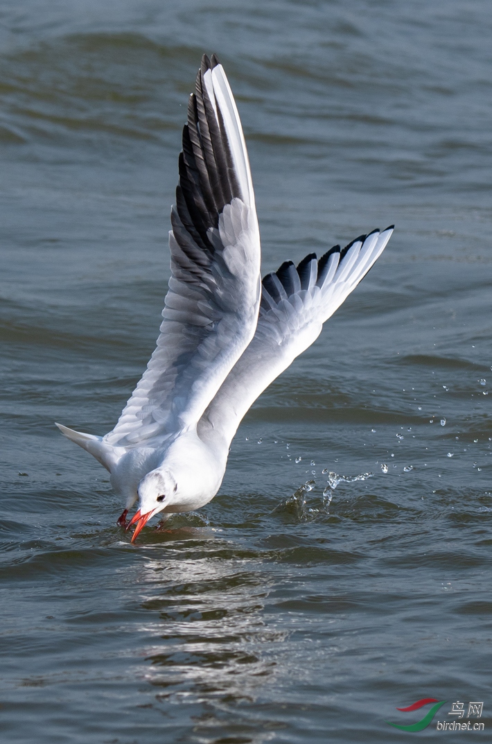 DSC_5608.jpg