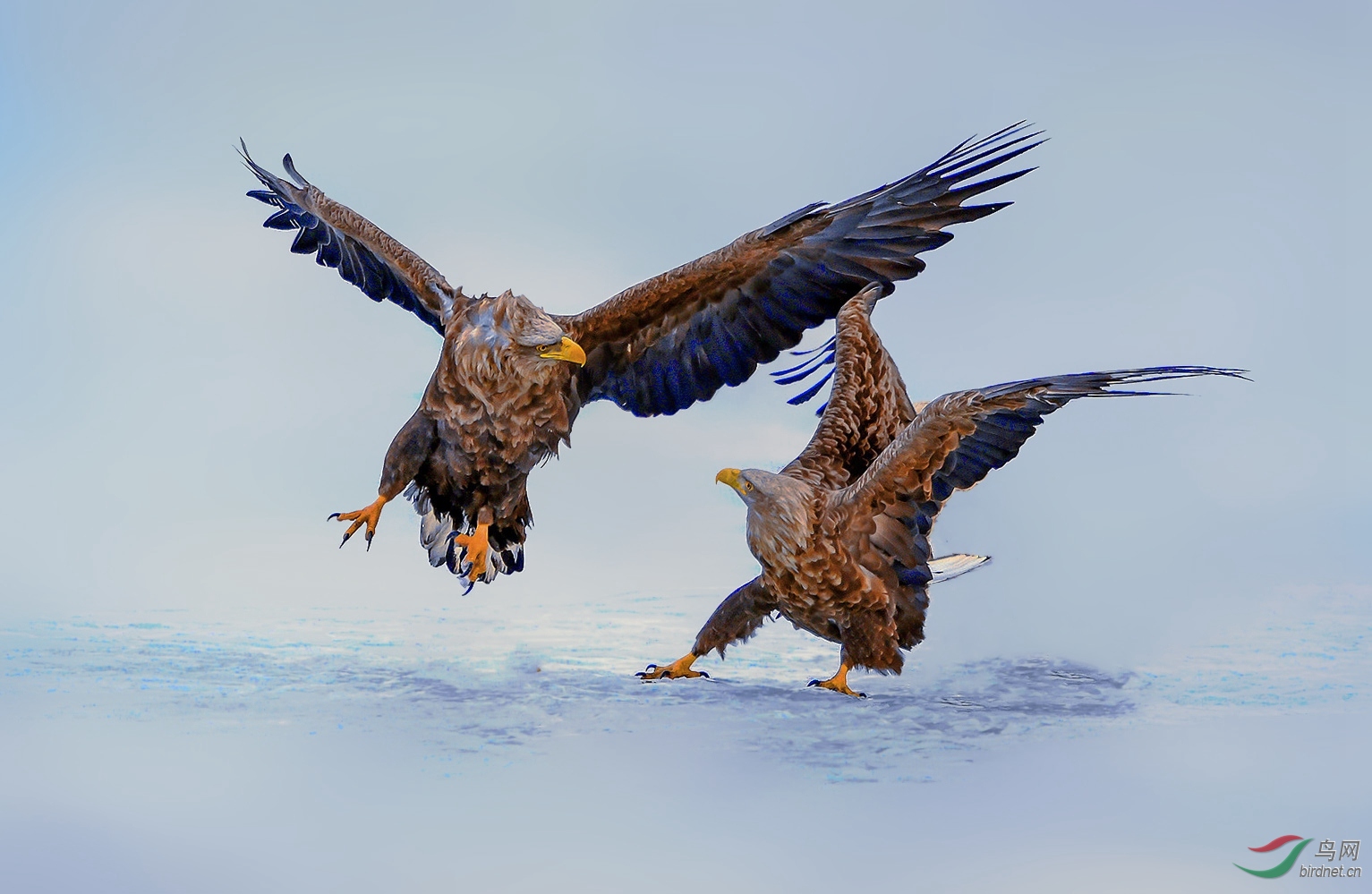 DSC_2753_����_���� (2).jpg