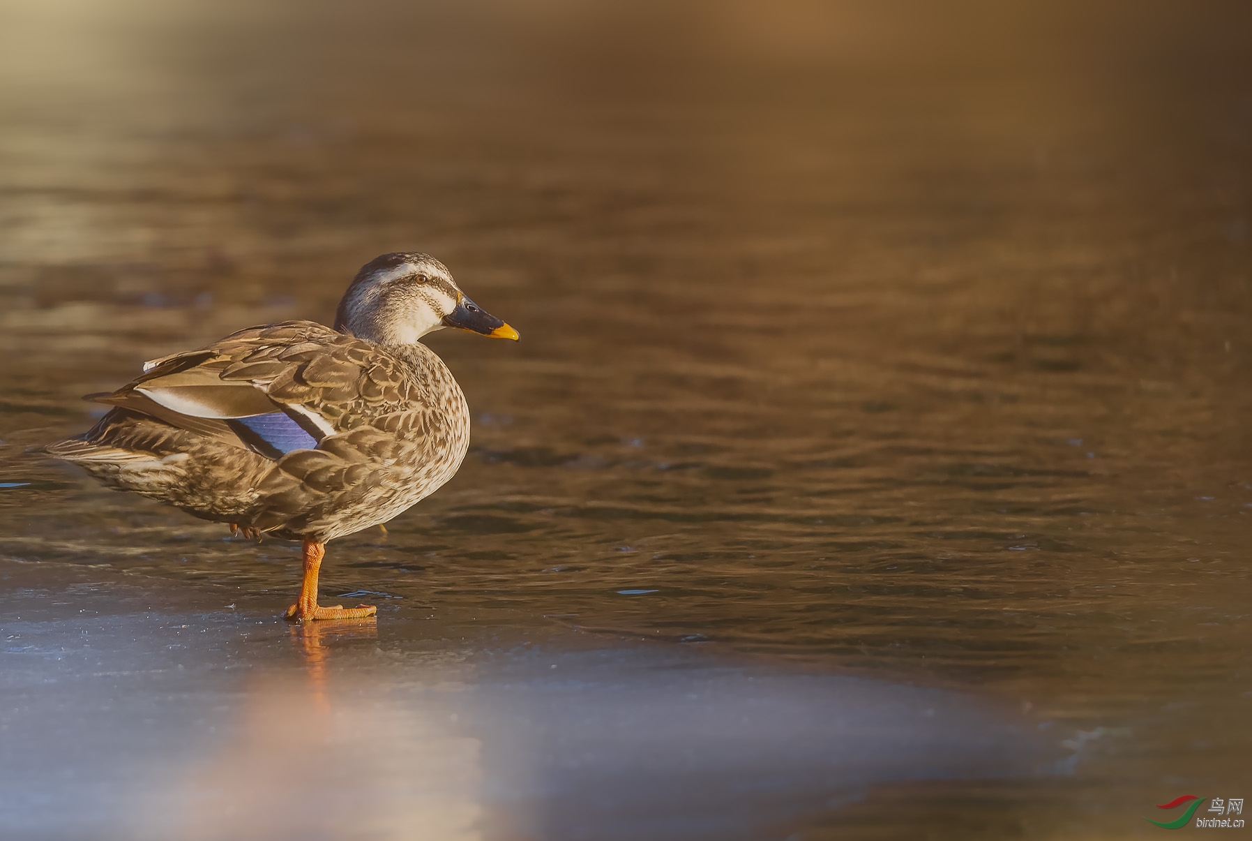 AQ8R0774-1.jpg