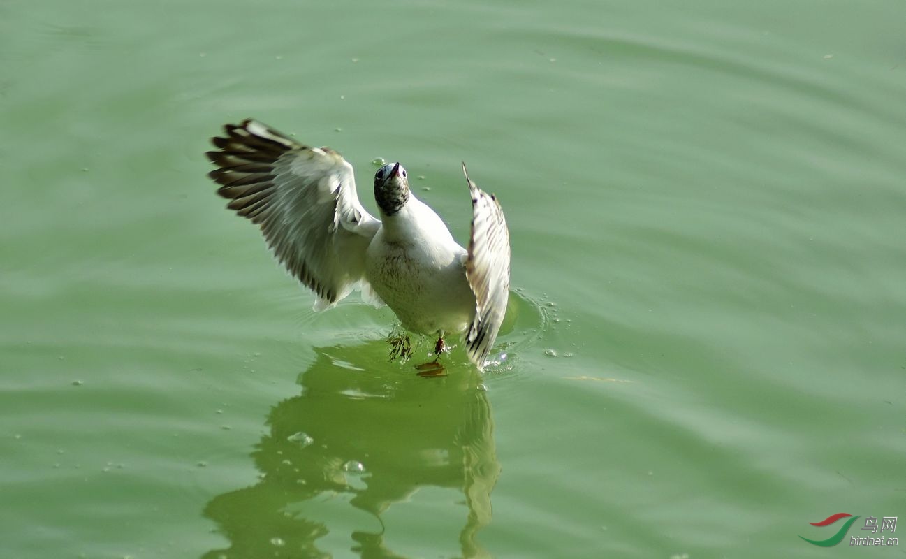 DSC_9507.jpg