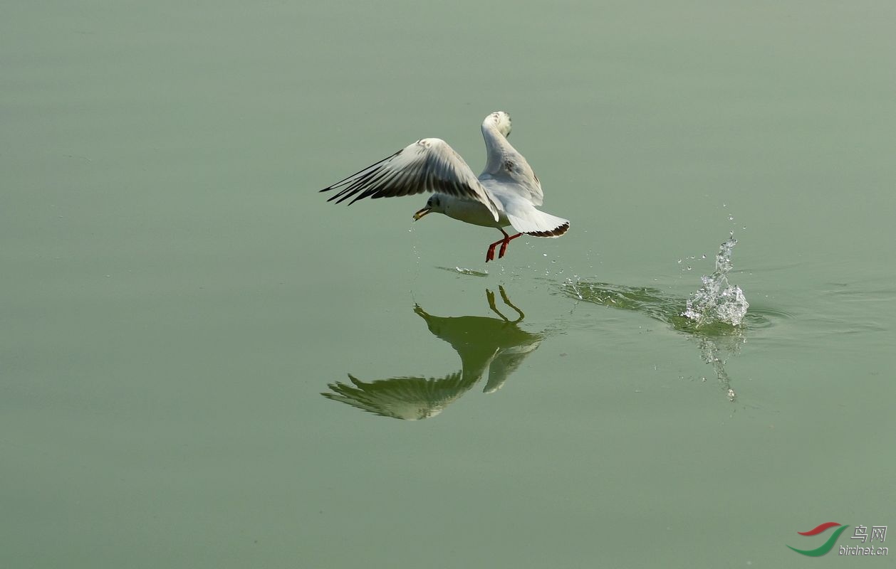 DSC_9401.jpg