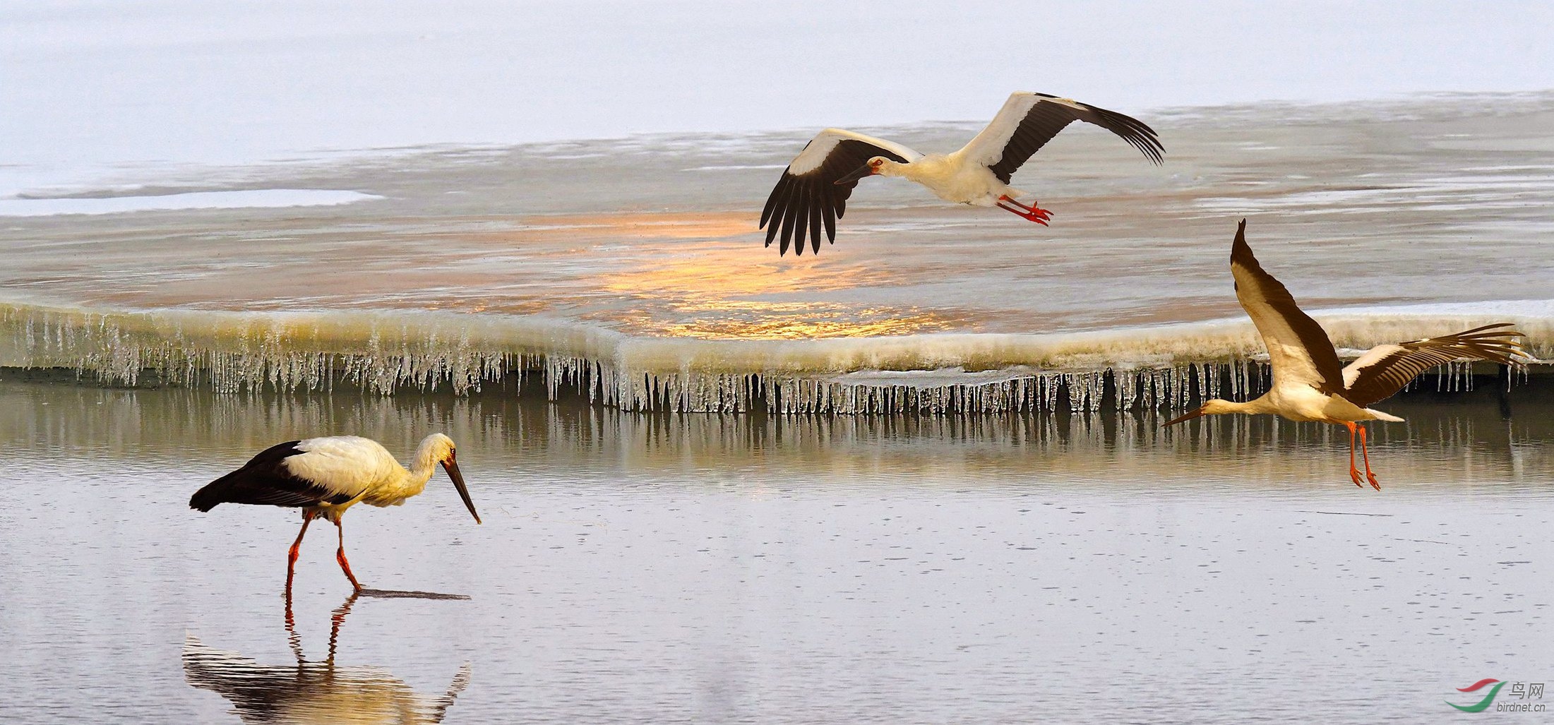 123 - ����.jpg