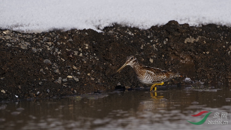 ���ĵش�ǹ�Ĳ�Ҫ