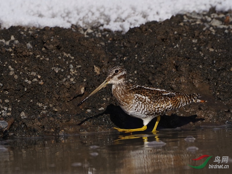 �ֽ⶯������̧��������