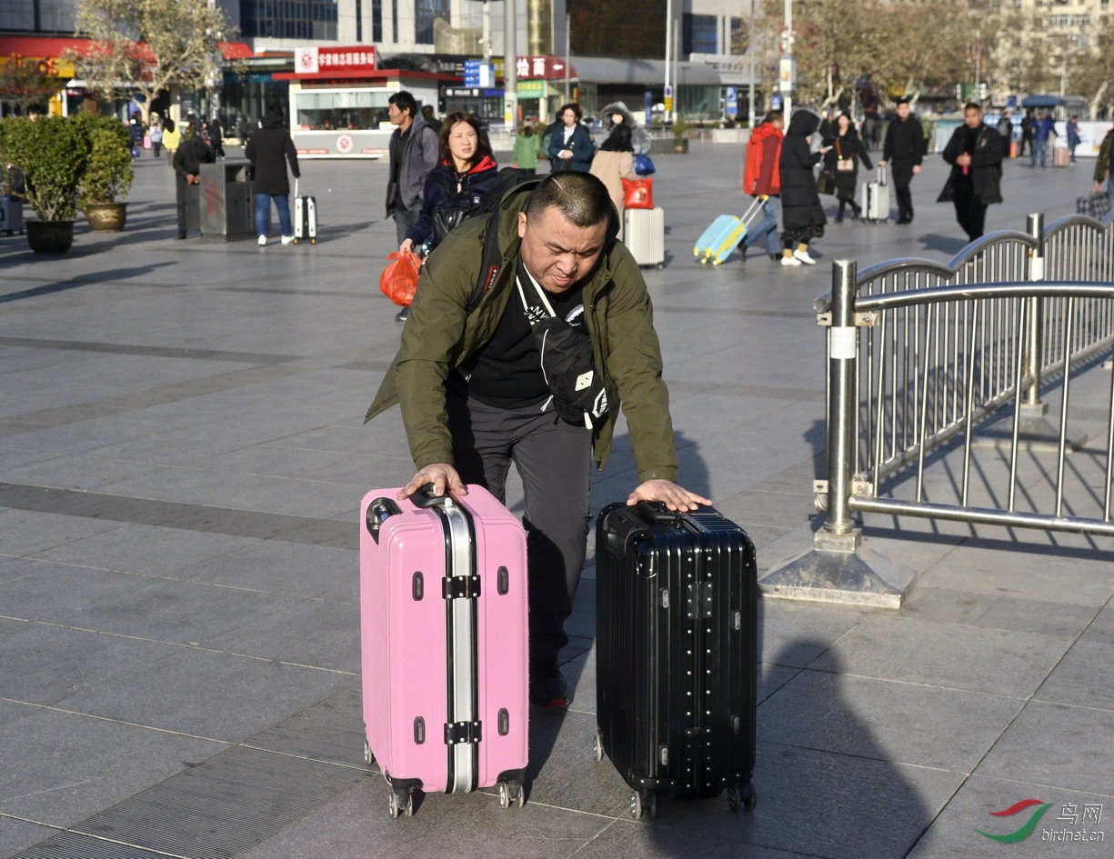 ���� _1082072.jpg