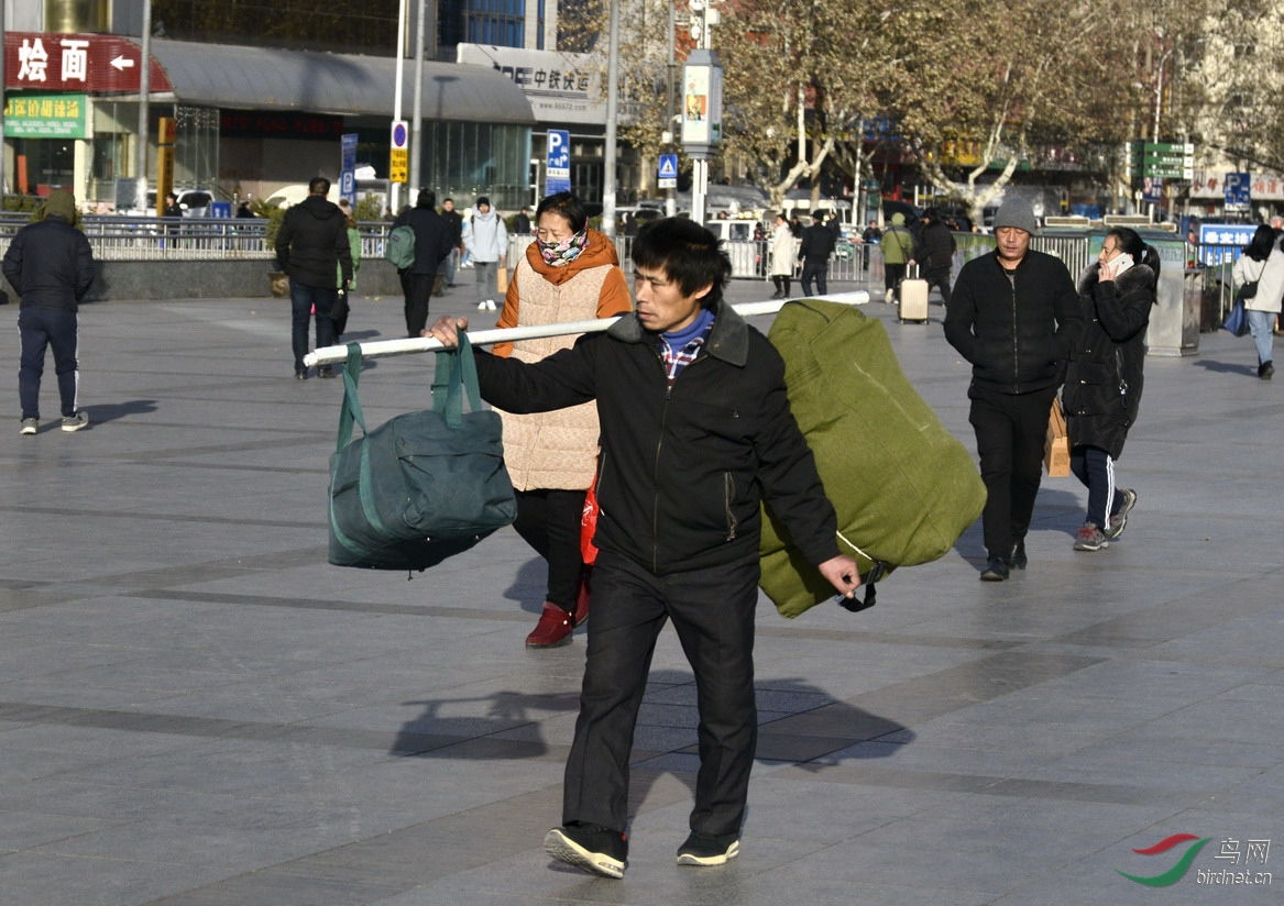 ���� _1082075.jpg