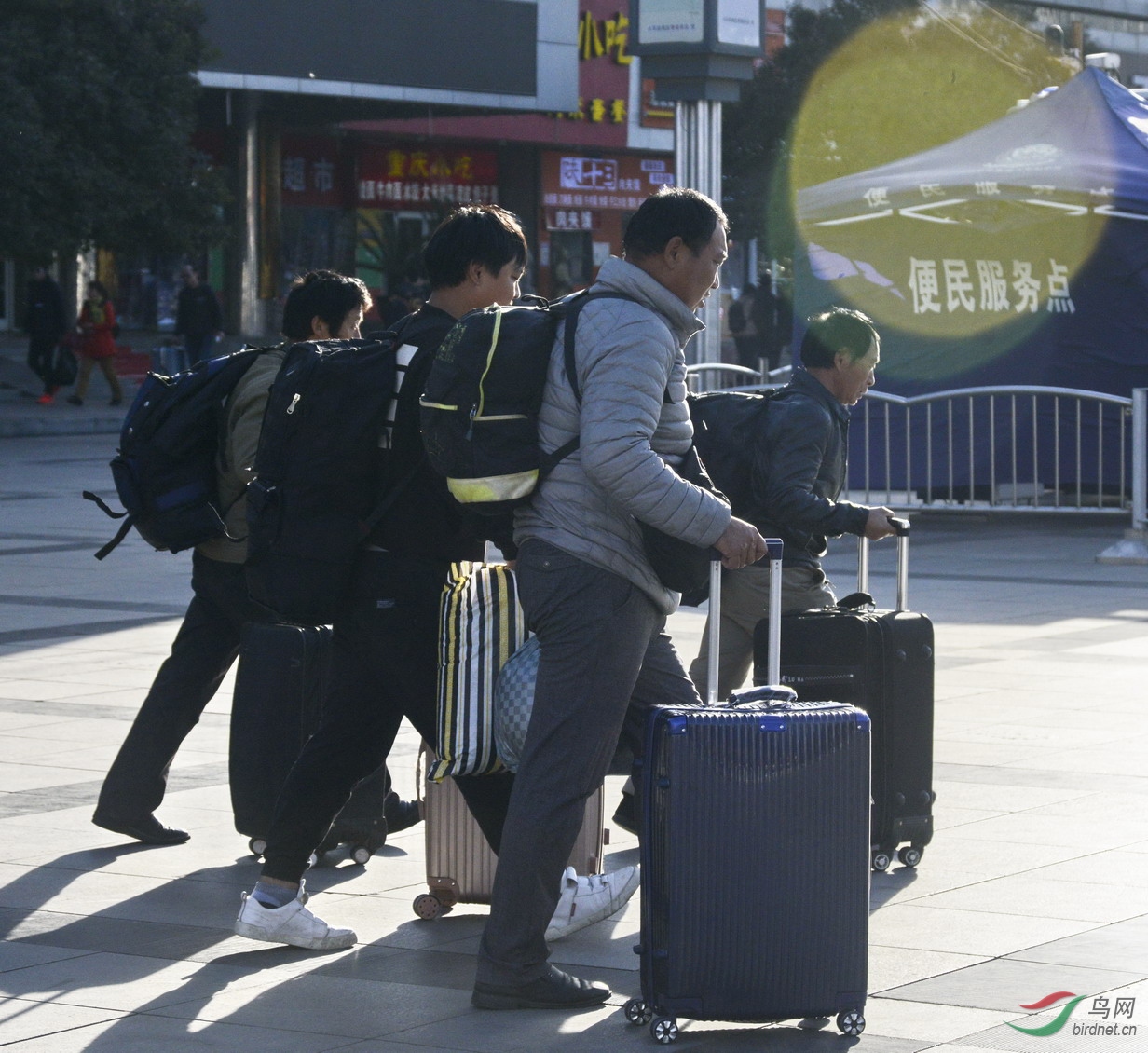 ���� _1082080.jpg