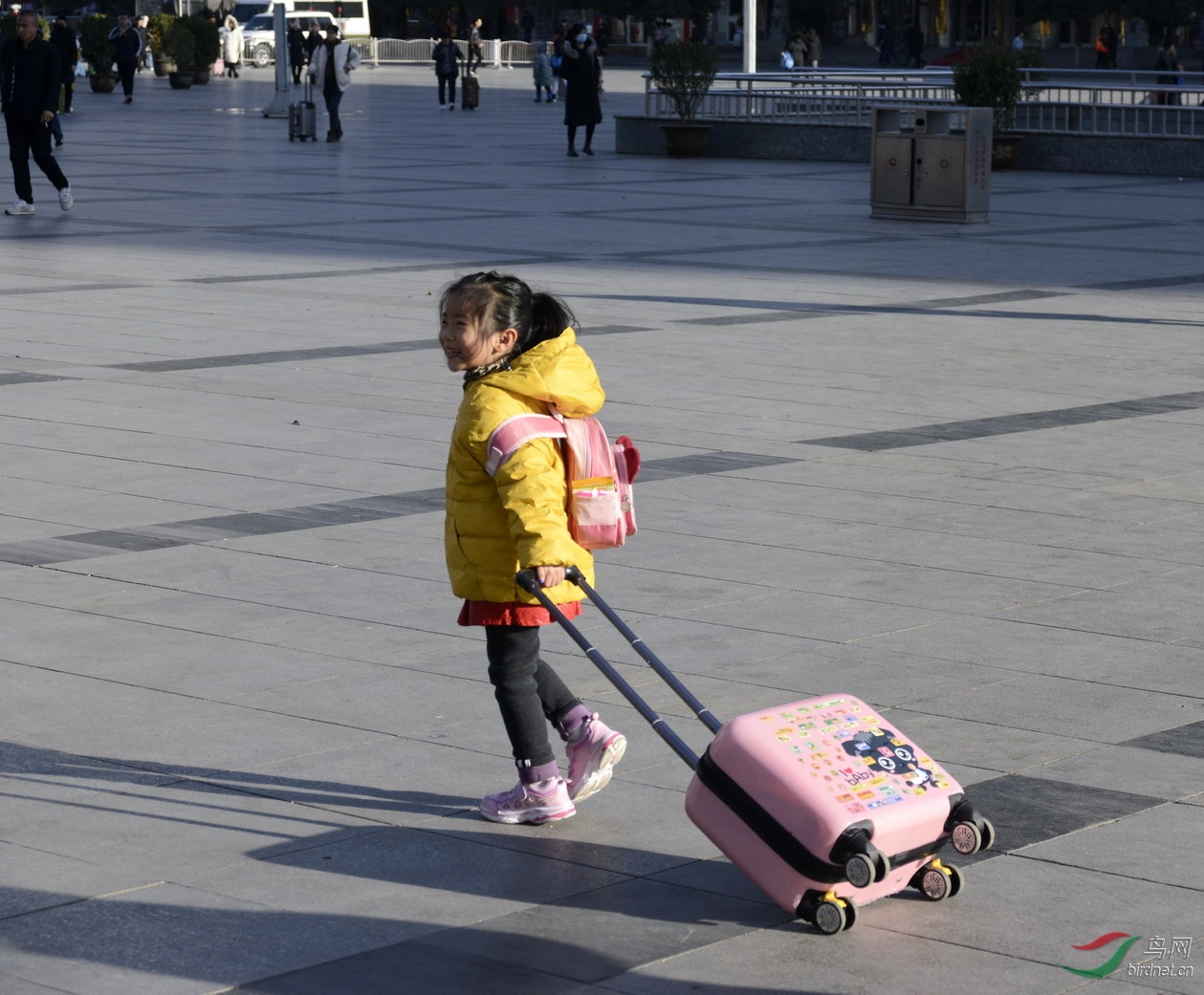 ���� _1082113.jpg