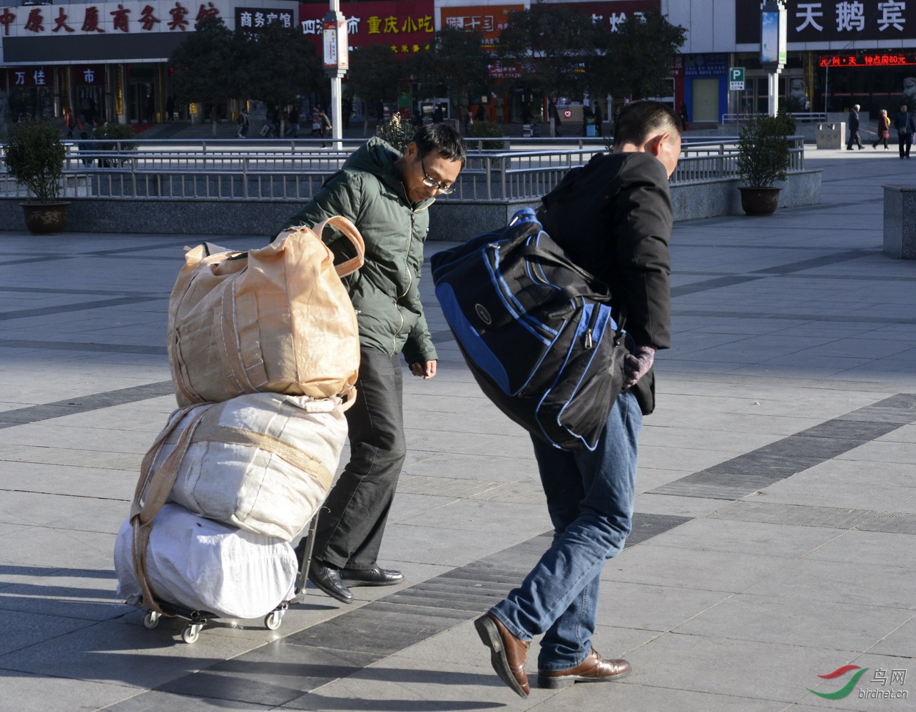 ���� _1082128.jpg