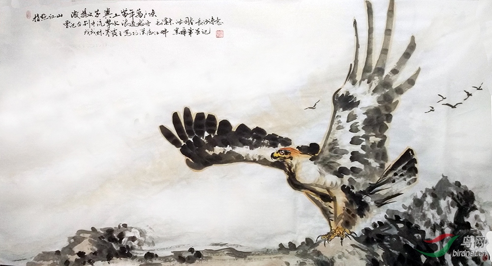 ָ�㽭ɽ  ��.jpg