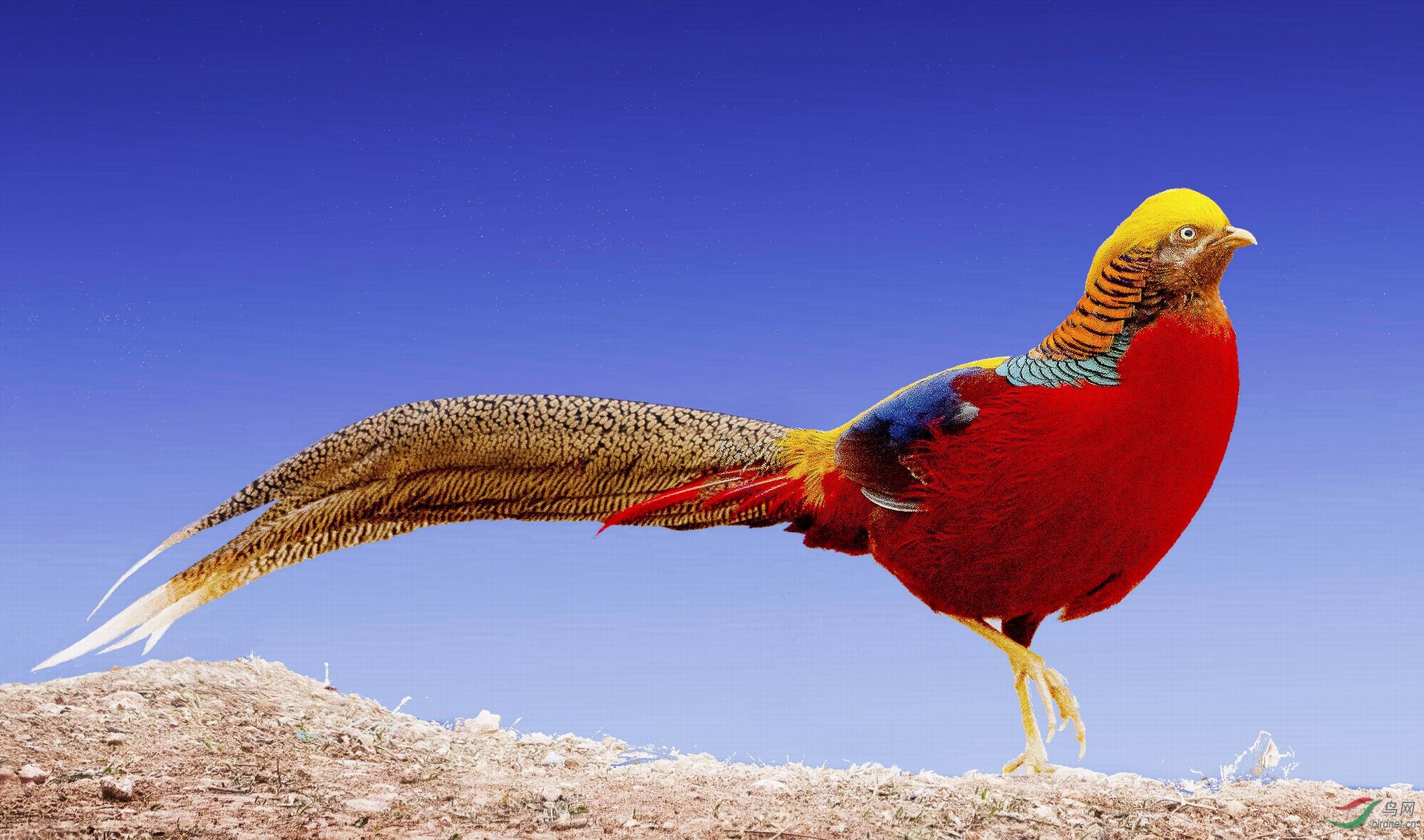 ������С DSC05190-.jpg