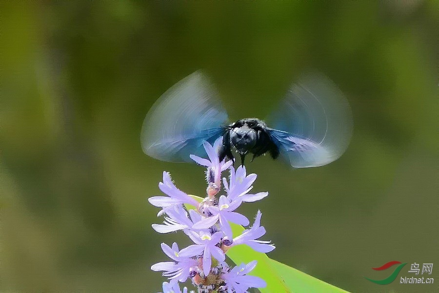 DSC_5954.jpg