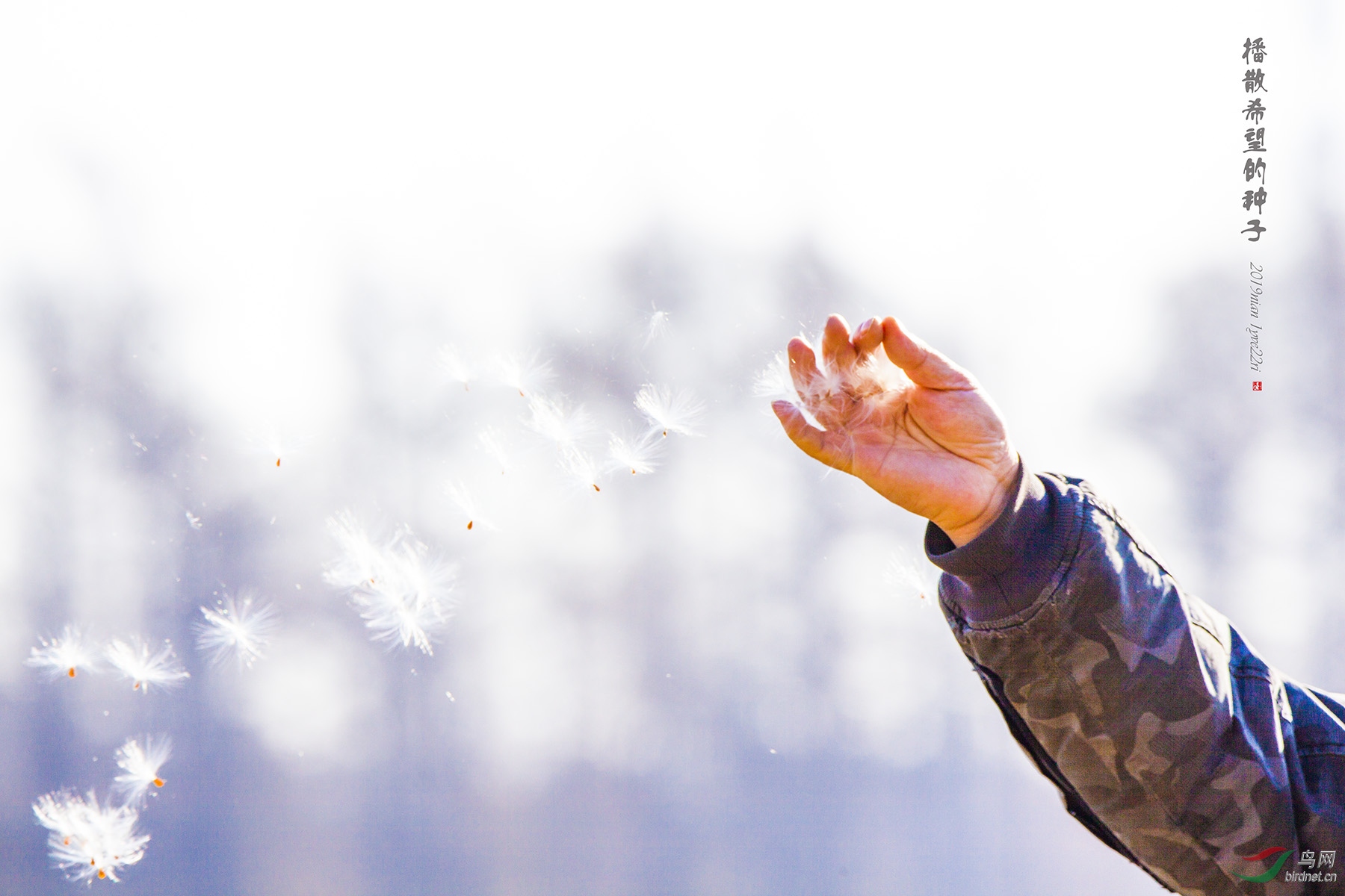 �������������ӡ�����-2019��1��22��