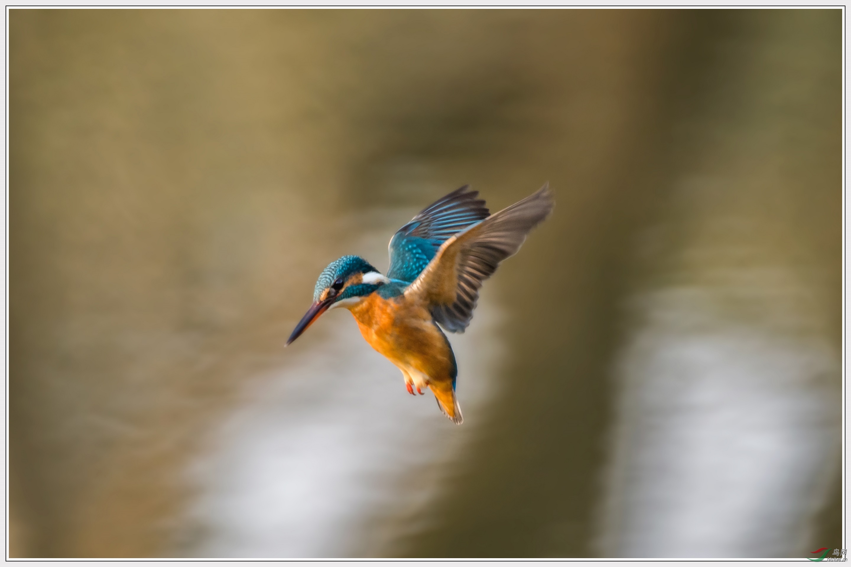 8���в���