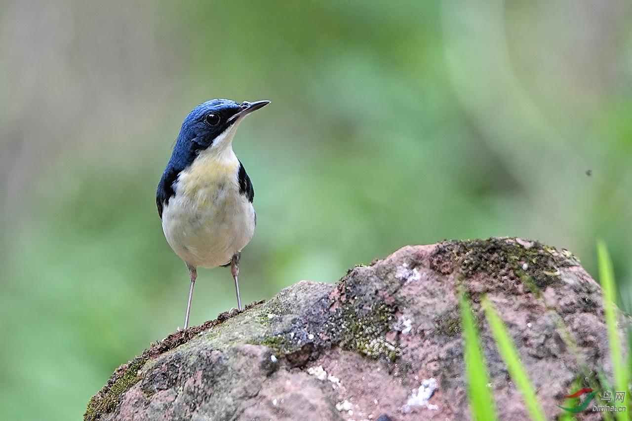 DSC_0212.JPG