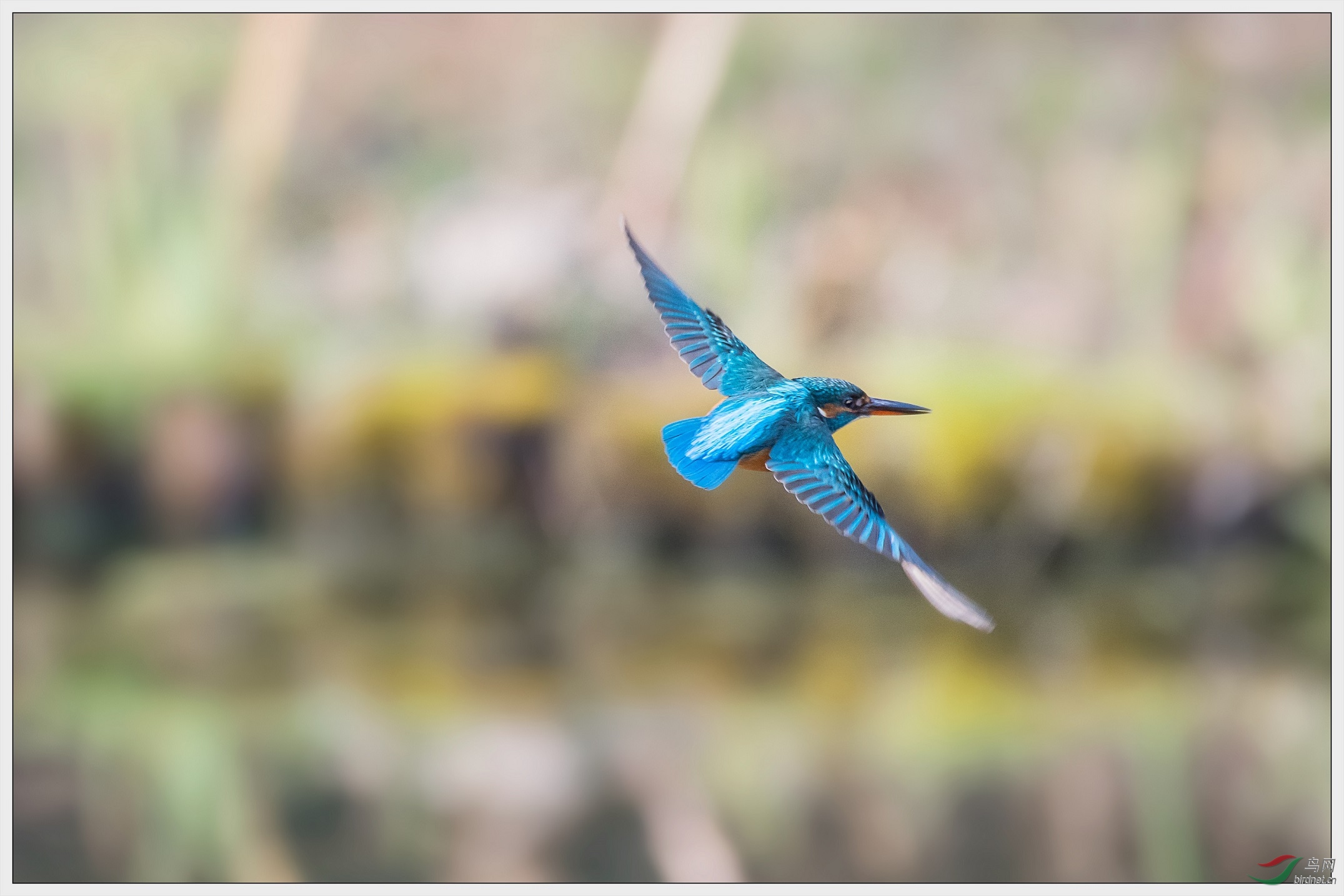 8���в���