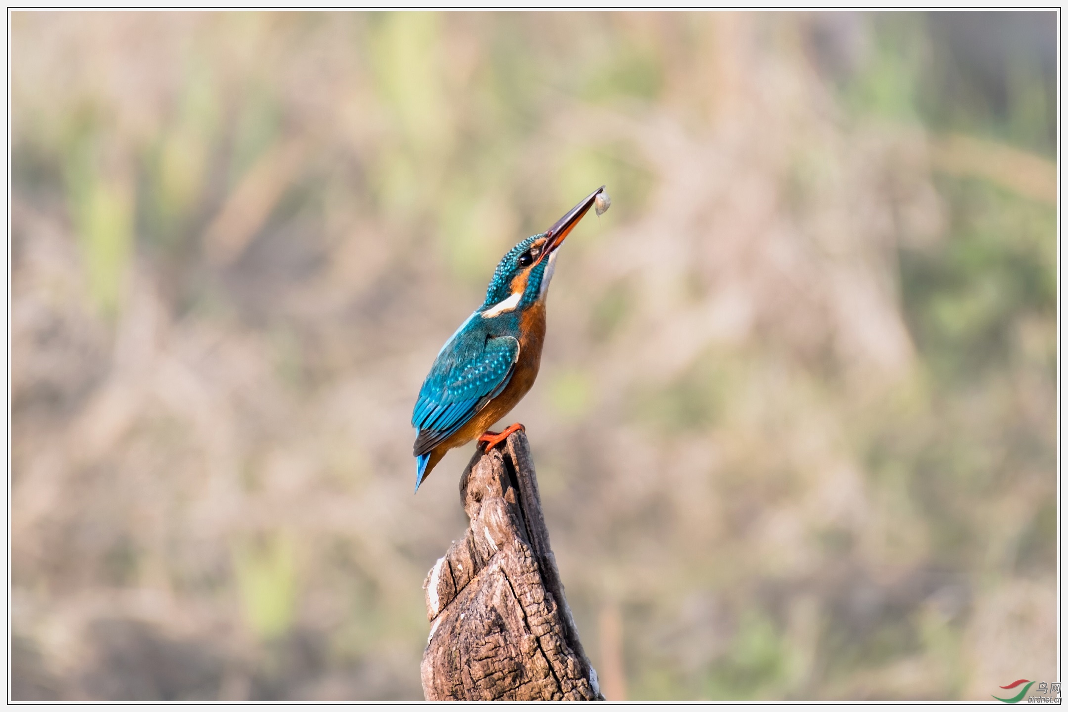 7���в���