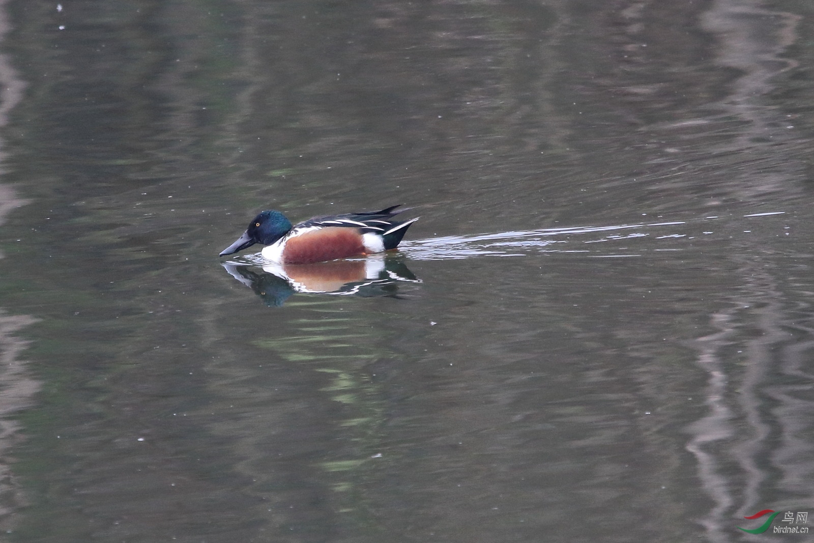 IMG_5347.JPG