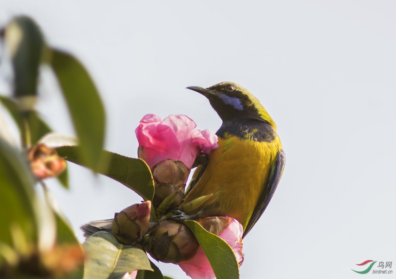 2019.01.22 155613.jpg