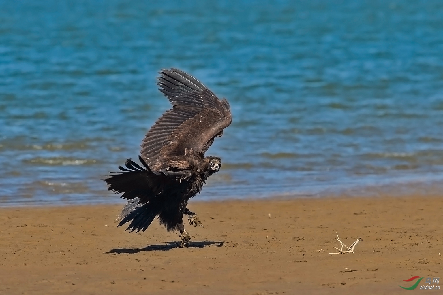 DSC_52951.jpg