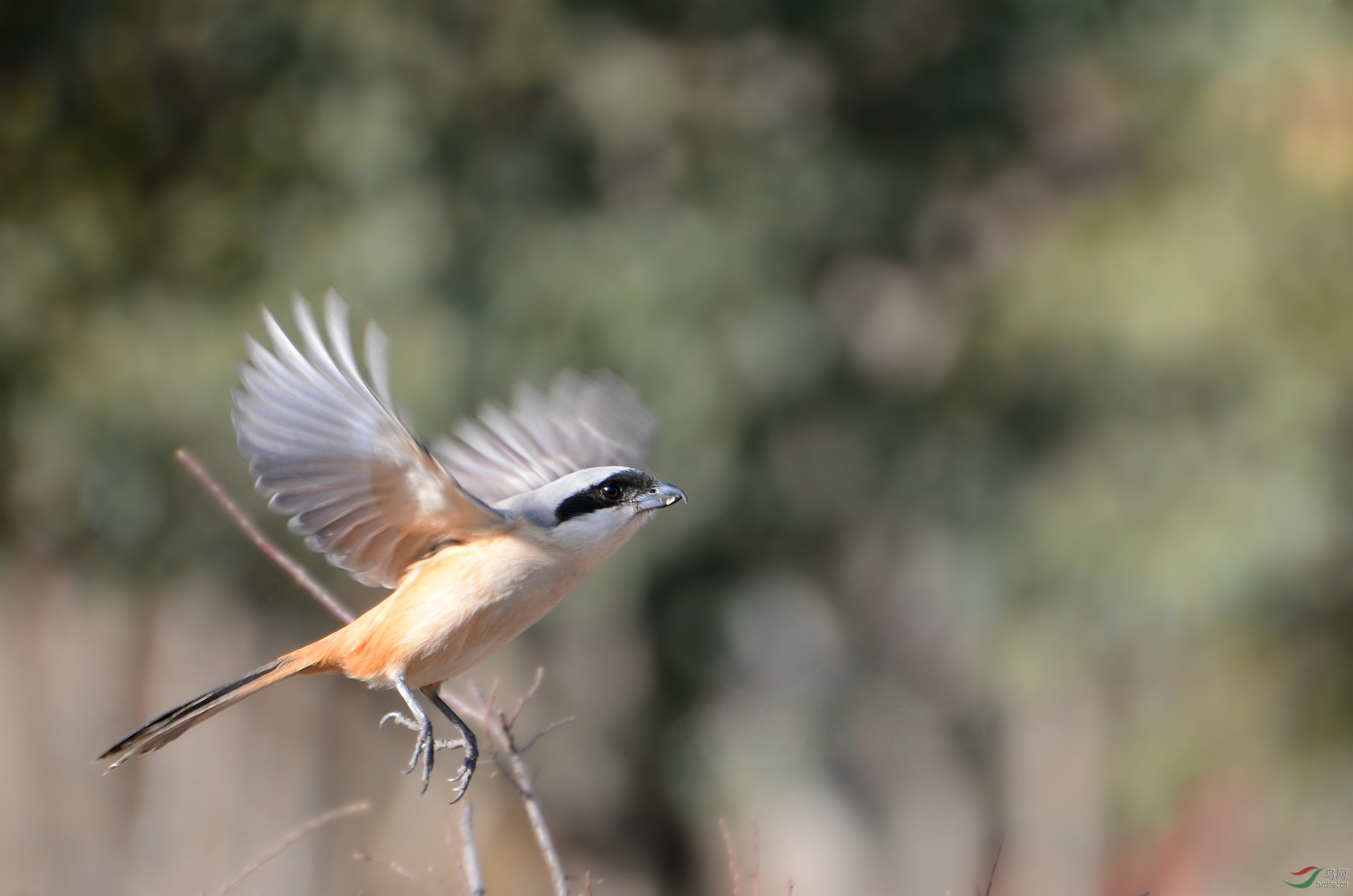 DSC_9861.JPG