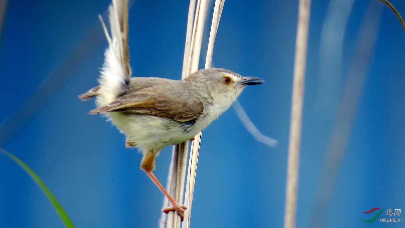 ��Ƭ 5283_����.jpg