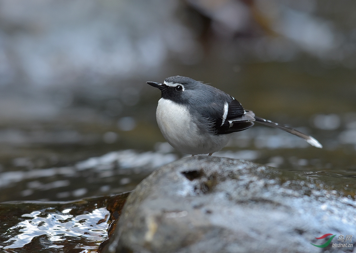 D72_9546.jpg