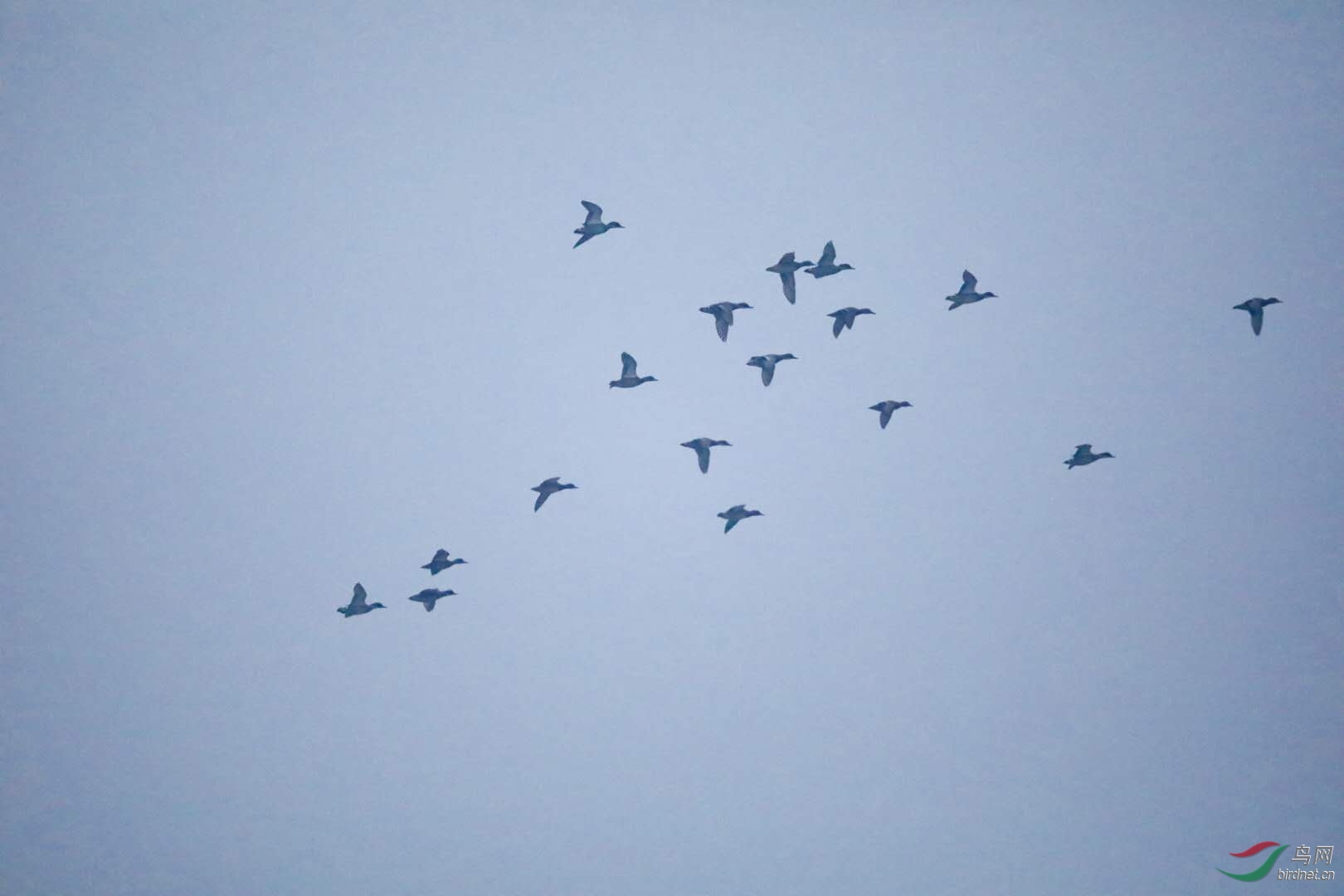 2019.1.24.jpg