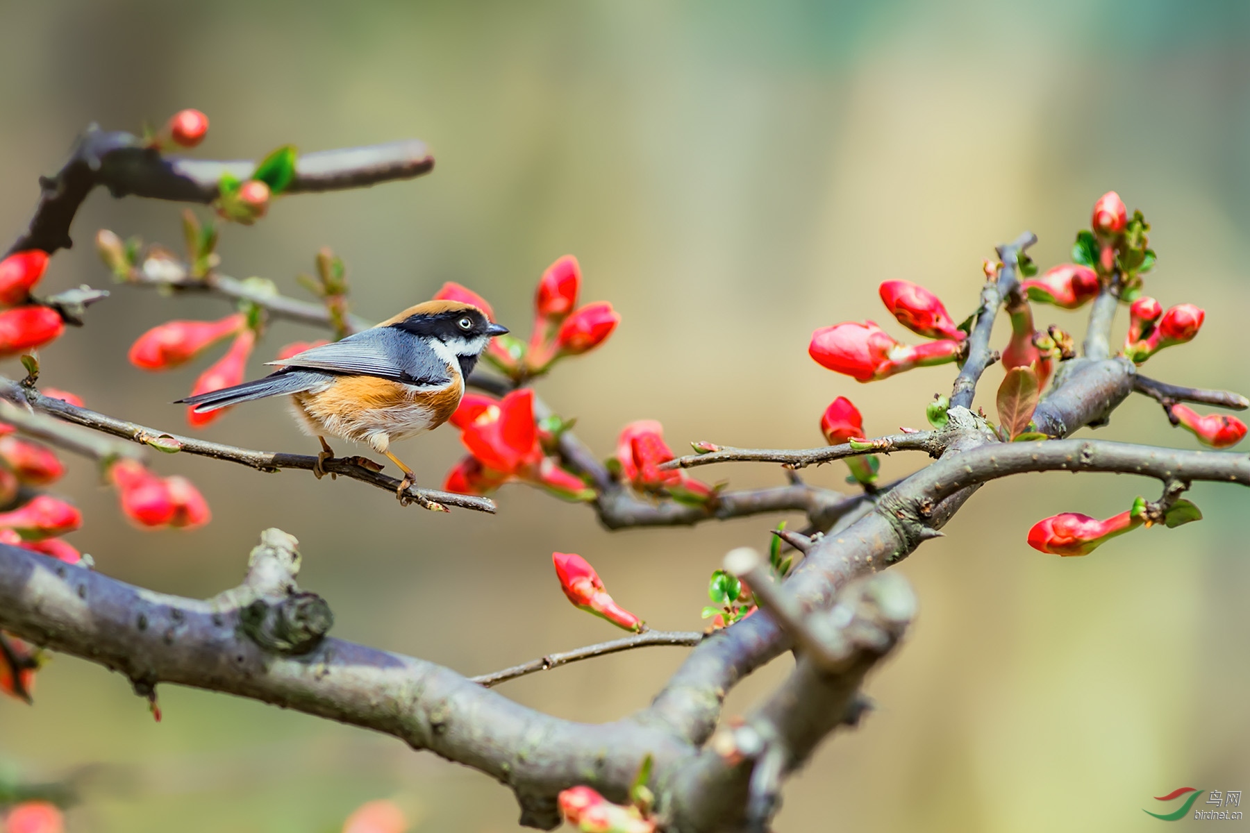 ����֮��