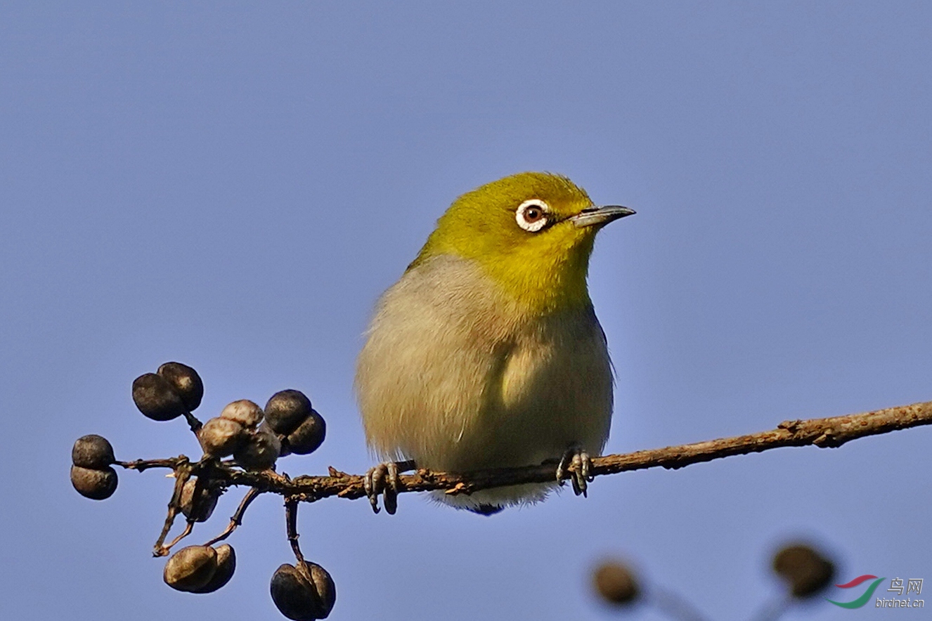 02_A9_0617-2U (1).jpg